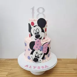 Mickey Minnie Duo