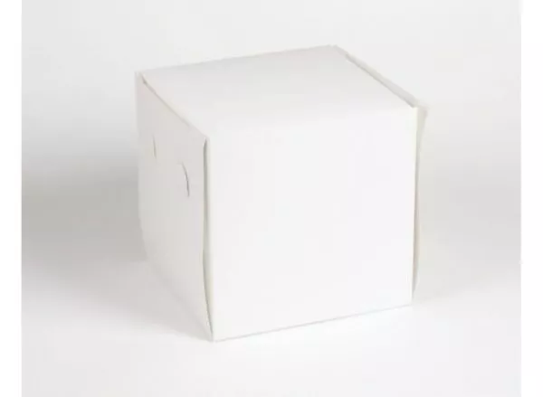 GoBake 6 Inch Tall Cake box